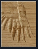 Cranes Carving detail Cranes Carving detail